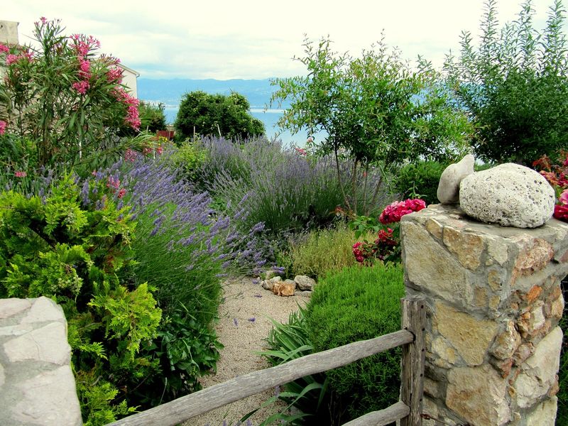 8 Welcoming Garden Spaces Found All Over Arizona - Decor Hint Raised Garden Beds with Herbs and Drought-Tolerant Plants