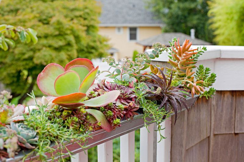 25 Awesome Succulent Porch Garden Ideas To Boost Curb Appeal - Decor Hint Porch Rail Planters Filled With Succulents