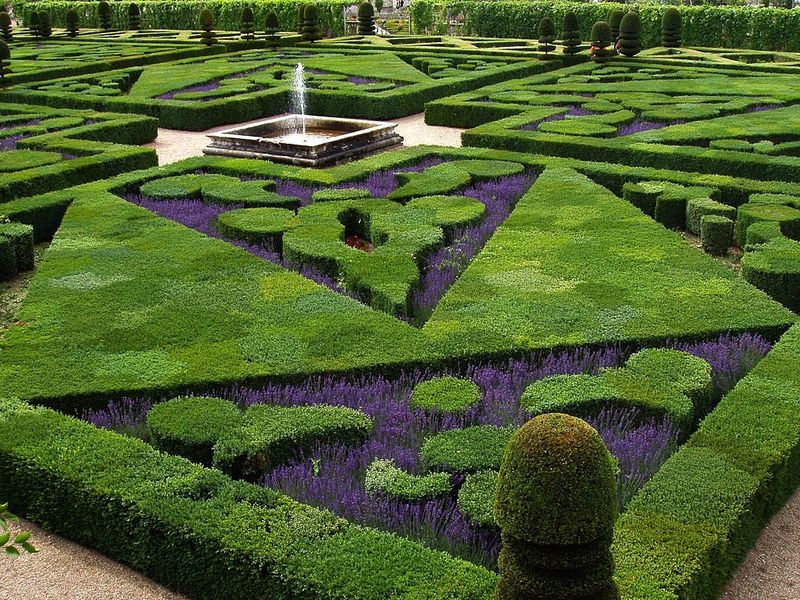 Geometric Hedge Patterns