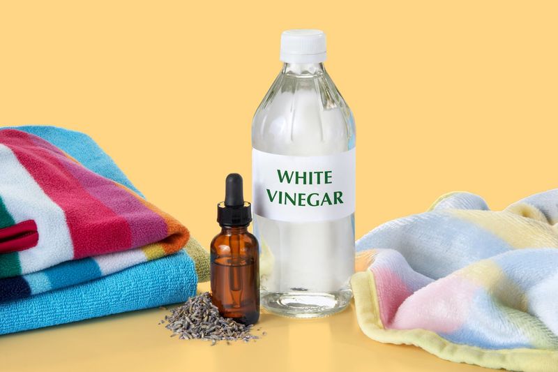 Why Vinegar Might Save Your Towels But Also When It Could Be A Bad Idea - Decor Hint Vinegar Banishes Stubborn Odors