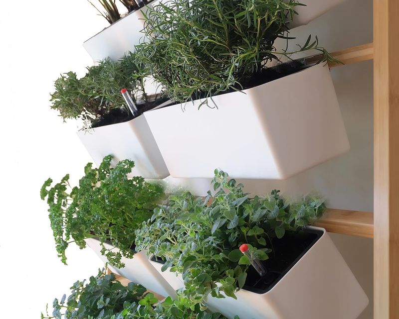 16 Design Tricks From Oregon's Eco-Friendly Tiny Homes - Decor Hint Living Walls For Fresh Herbs