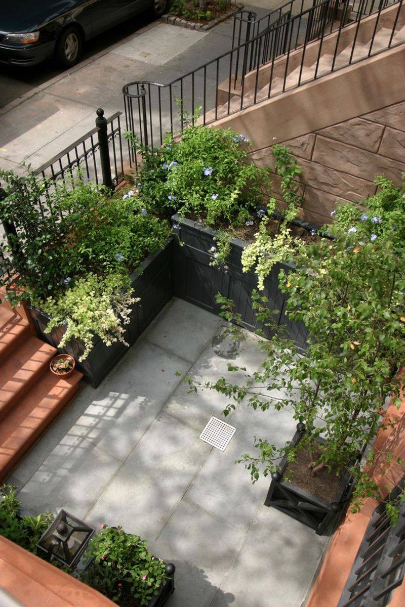 Pocket Container Gardens