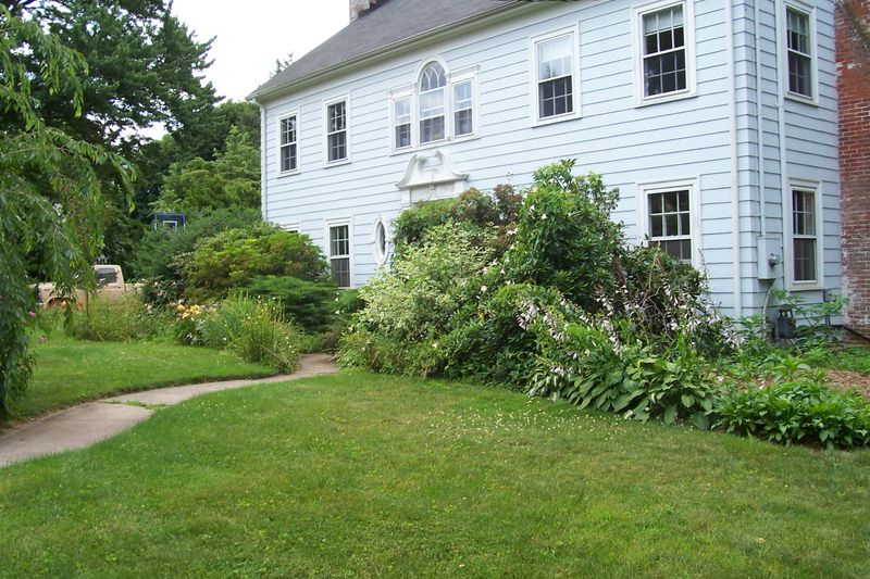 9 Things Making The Exterior Of Your Home Look Dated, And What You Can Do About Them - Decor Hint Overgrown Or Outdated Landscaping