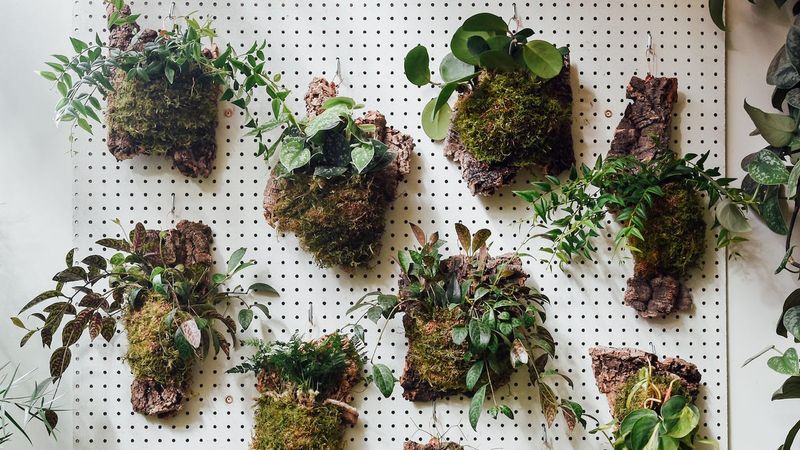6 Weekend Home Decor Projects Oregon DIYers Swear By And 4 They Say Just Waste Time - Decor Hint Indoor Plant Wall Systems