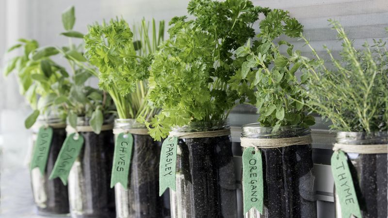 17 Small, But Cool Ways To Make Your Kitchen Look Like An After Shot On HGTV - Decor Hint Add Living Elements