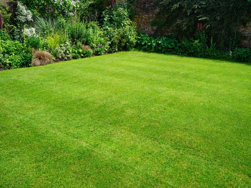 Expansive Lawns With High Water Needs