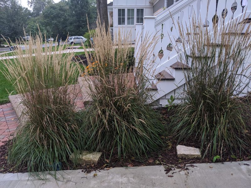 Ohio Homes Adopting Coastal Style Curb Appeal Tips To Try - Decor Hint Native Grasses For Beachy Texture