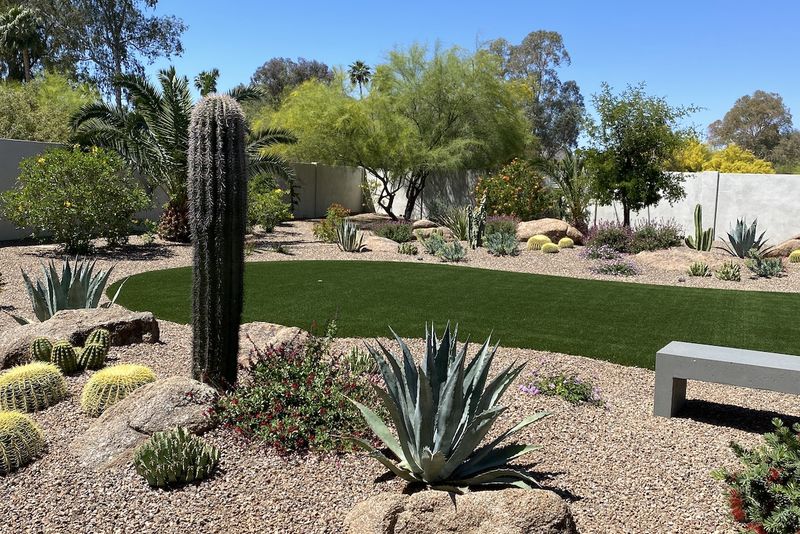 Is Oklahoma Trying Too Hard To Be Arizona? These Desert Exteriors Say Yes - Decor Hint Cactus Landscaping Replacing Traditional Lawns