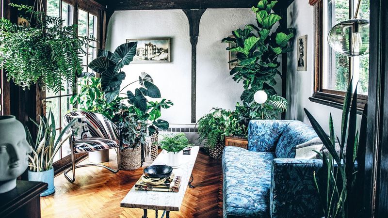 Plants Bring Spaces Alive