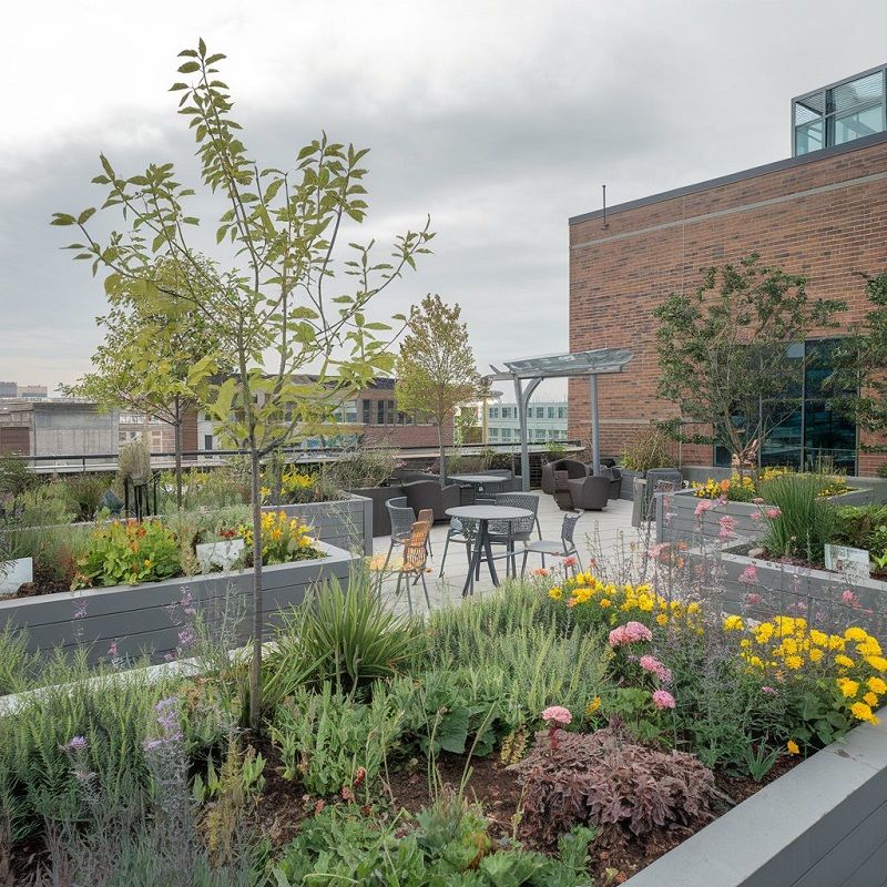 Green Roofs And Vertical Gardens