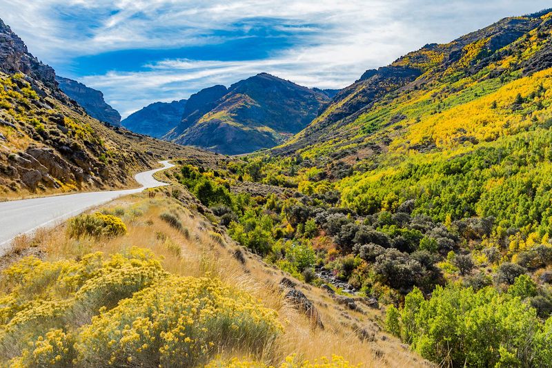 23 Legendary Cowboy Hideouts With Stories To Tell - Decor Hint Elko, Nevada