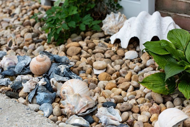 Shell-Lined Garden Paths