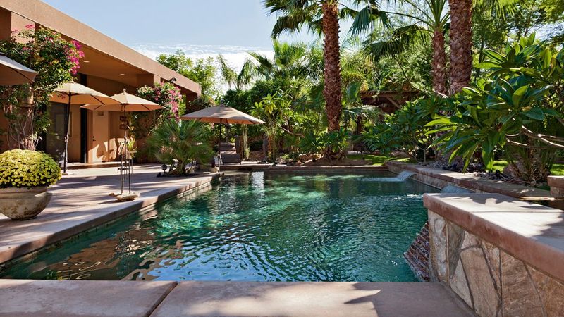 37 Stylish Poolside Designs That Make Everyday Feel Like Vacation - Decor Hint Poolside Potted Citrus Trees