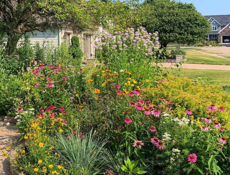 11 Secrets Behind Serene Yards In Iowa - Decor Hint Native Plant Landscapes