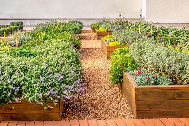 10 Outdoor Space Styles Showing Up In Washington Homes And 4 That Are Starting To Disappear - Decor Hint Edible Landscapes