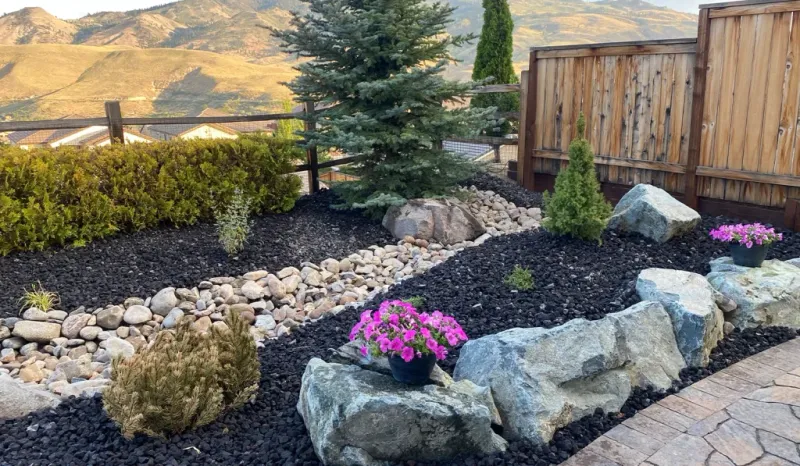 Nevada's Weekend DIY Boom: 12 Home Projects Everyone's Tackling Right Now - Decor Hint Backyard Xeriscaping