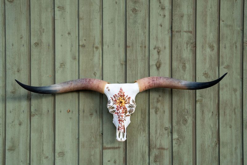 Longhorn Skull Mounts
