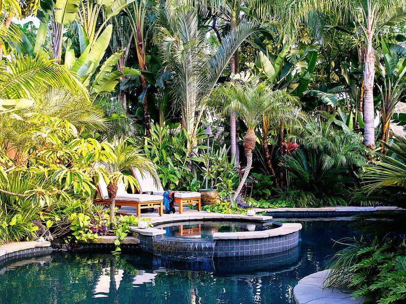 Tropical Plant Oasis