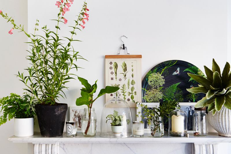Start Your Week In Style With Fresh Interior Ideas - Decor Hint Create A Botanical Refresh Zone