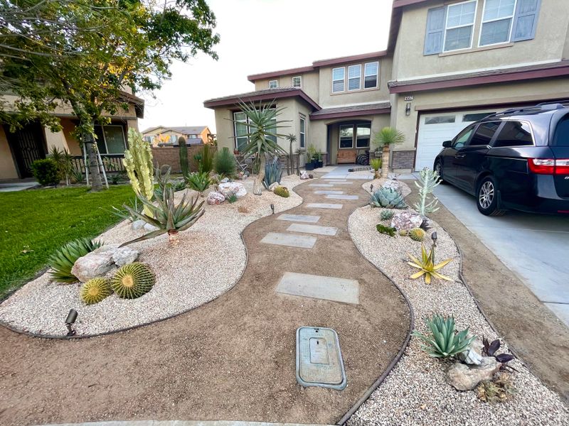 Drought-Tolerant Front Yard
