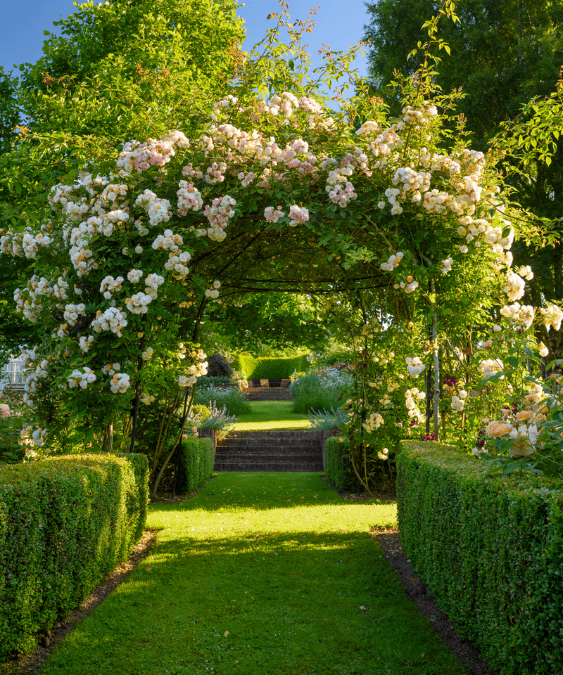 Grand Entrance Arch
