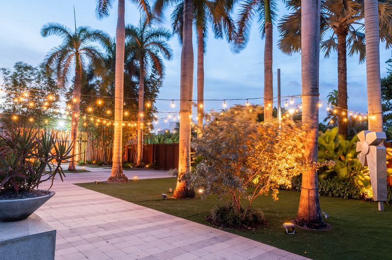 Magical Evening Light Displays