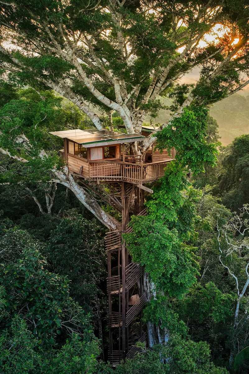 Treehouse Tiny