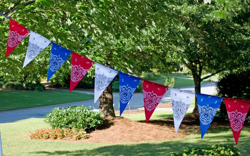 Bandana Bunting
