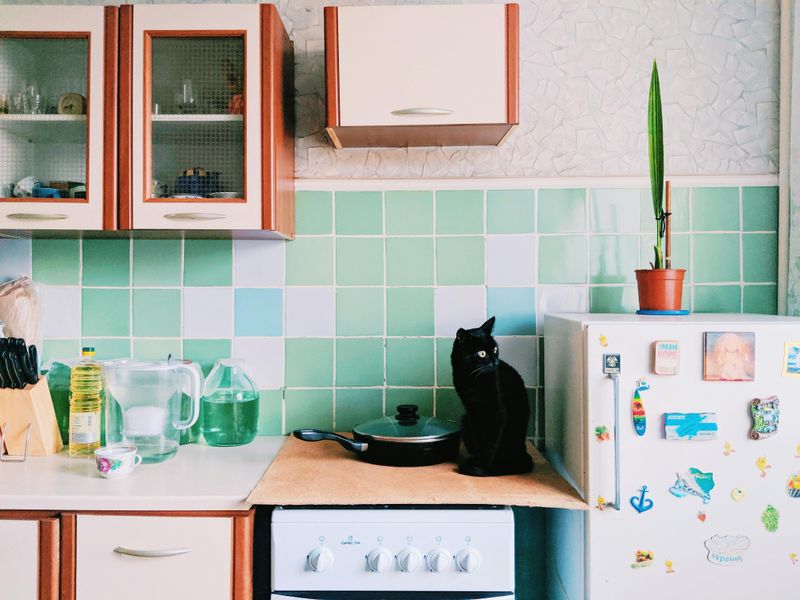 Colored Appliances