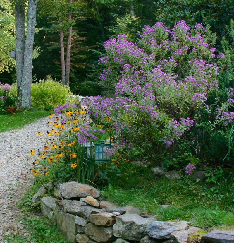 Charming Outdoor Features Seen In New Jersey Homes - Decor Hint Historic Stone Walls With Native Plantings