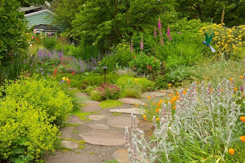 Garden Pathways with Native Wildflowers