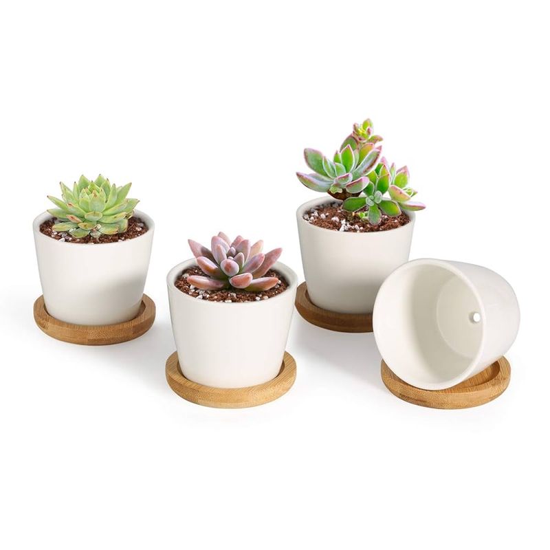 21 Cool Things Under $20 That'll Make Your Home Look More Expensive - Decor Hint Indoor Potted Succulents