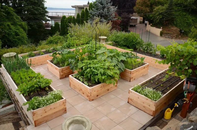 7 Backyard Mistakes To Fix In New Orleans (And 7 Ideas To Improve Value) - Decor Hint Create Raised Garden Beds