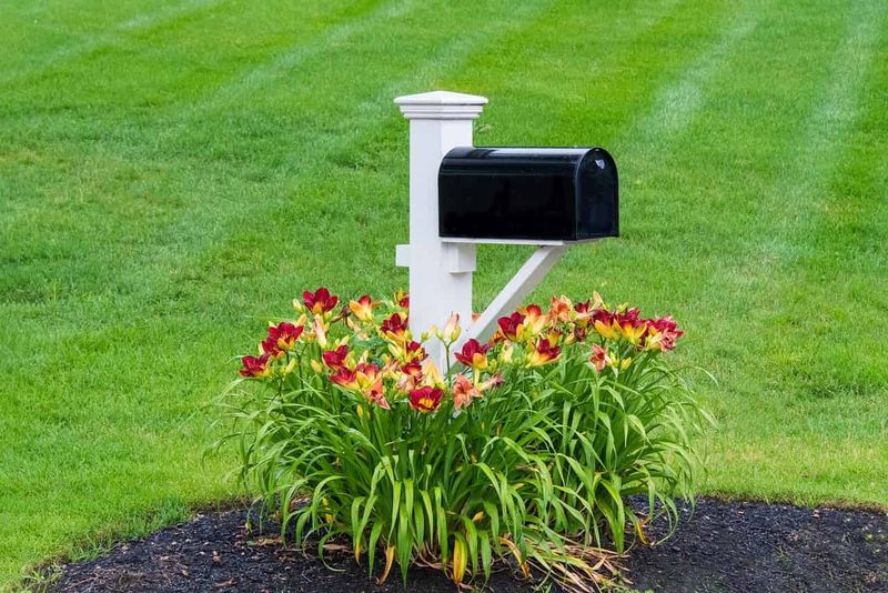 8 Minor Exterior Renovations That Can Transform Your Outdoor Space - Decor Hint Decorative Mailbox Upgrade