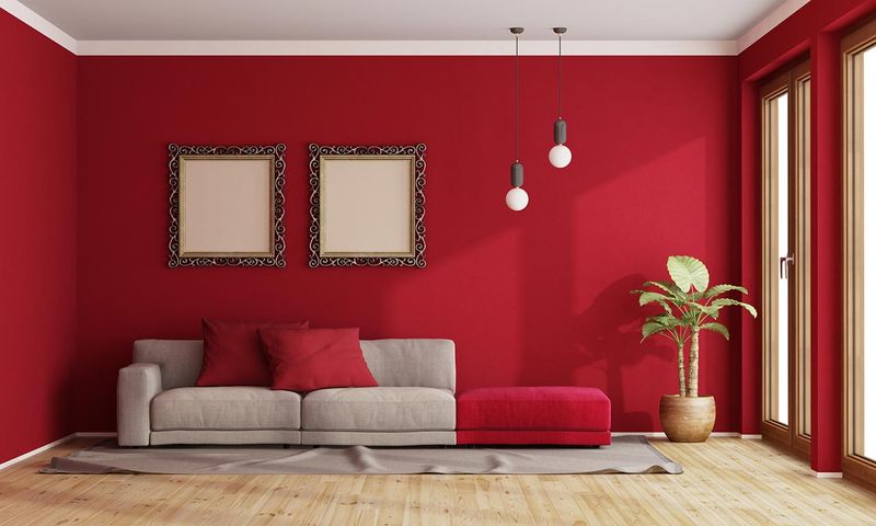 Make Your House Shine Again With These 16 Simple Updates - Decor Hint Fresh Coat of Paint on Walls