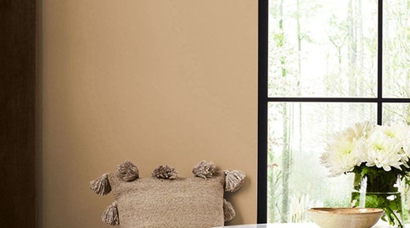 9 Sherwin-Williams Paint Picks That Suit Arizona Style Perfectly - Decor Hint Mesa Tan: The Landscape's Best Neutral