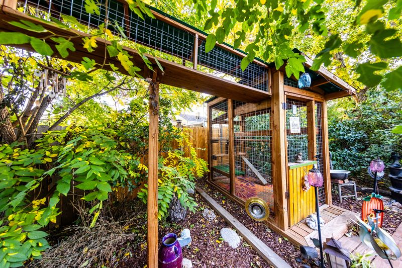 Creature Comforts: How Pets Are Influencing Home Design Trends - Decor Hint Pet-Friendly Outdoor Spaces
