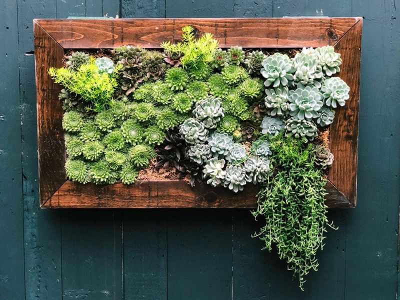 11 Gorgeous Garden Wall Decorating Ideas For A Perfect Outdoor Space - Decor Hint Vertical Succulent Garden
