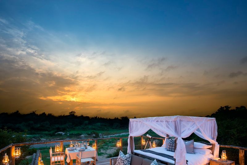 14 Luxury Treetop Homes For Living The High Life - Decor Hint Lion Sands Treehouses, South Africa