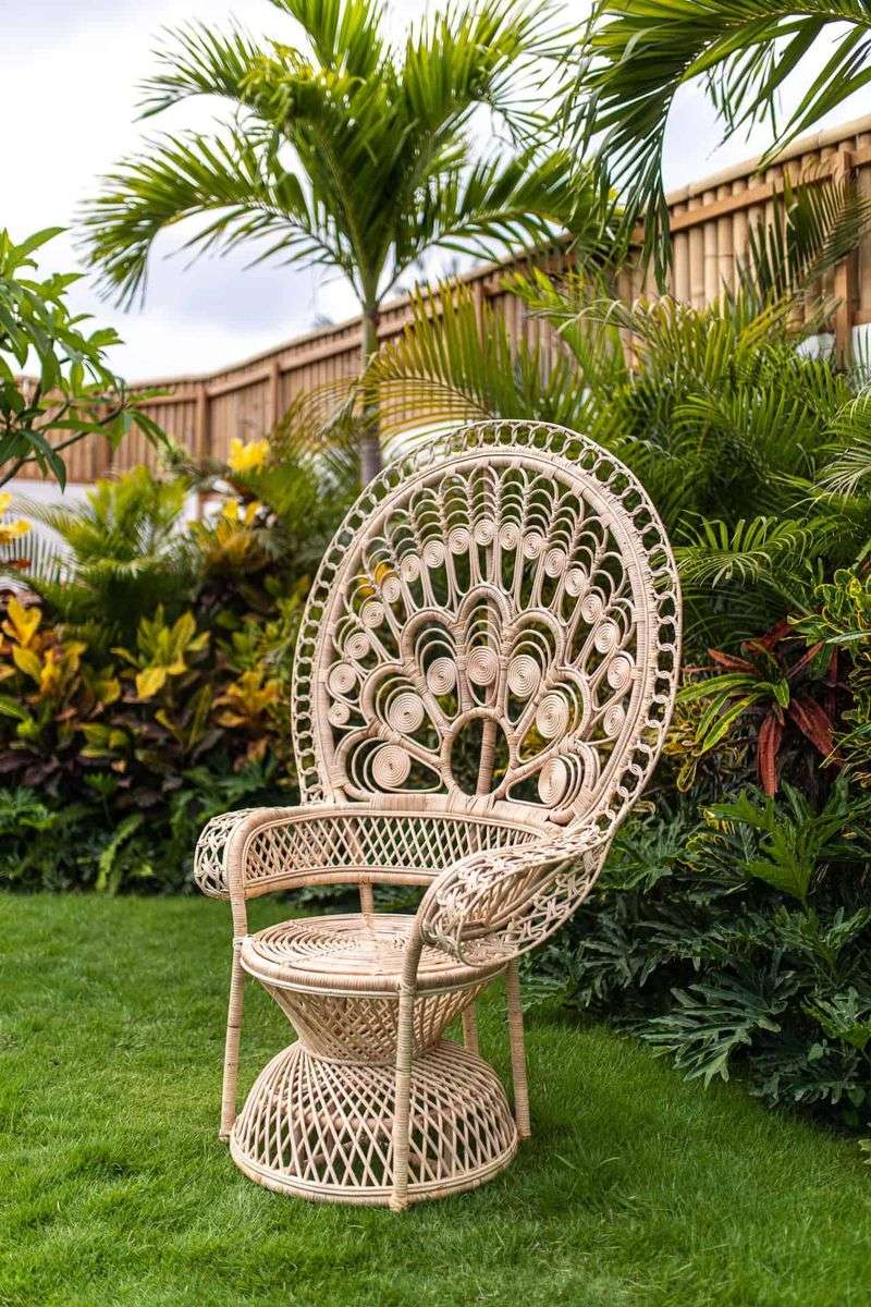 Rattan Furniture