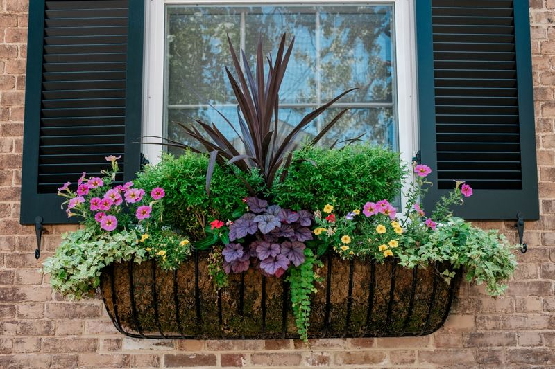 Flower-Filled Window Boxes