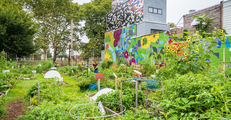Explore 9 Charming Outdoor Areas Common In Philadelphia Neighborhoods - Decor Hint Community Garden Plots