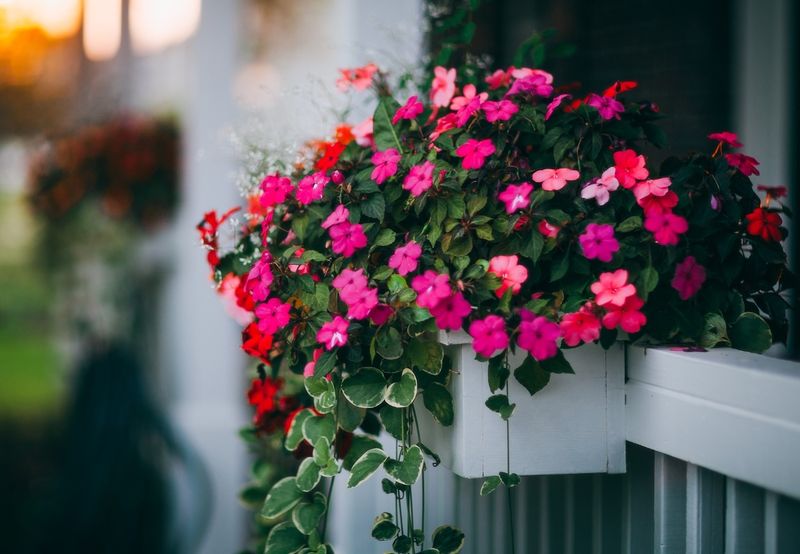 19 Popular Weekend Upgrades For Handy Homeowners In North Carolina - Decor Hint Adding Window Boxes Or Planters