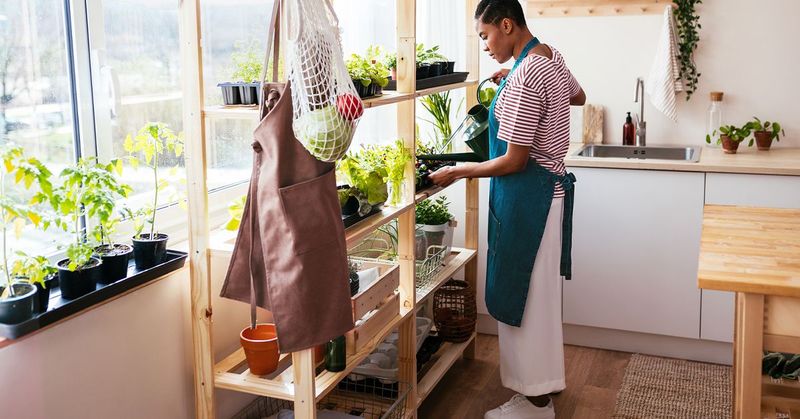 26 Barndominium Features That'll Make You Say 'Wait, That's A House?' - Decor Hint Indoor Vegetable Gardens