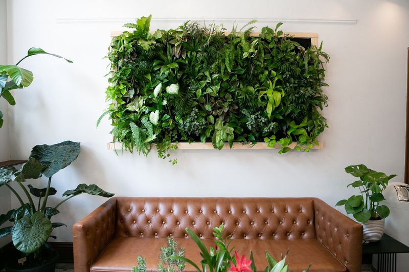 How Florida Homes Make The Most Of Natural Light - Decor Hint Living Plant Walls That Glow