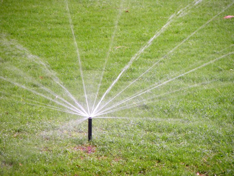13 Tucson DIY Projects Everyone's Trying This Weekend And 2 That Just Don't Catch On - Decor Hint Installing Lush Grass Lawns (Don't Catch On)