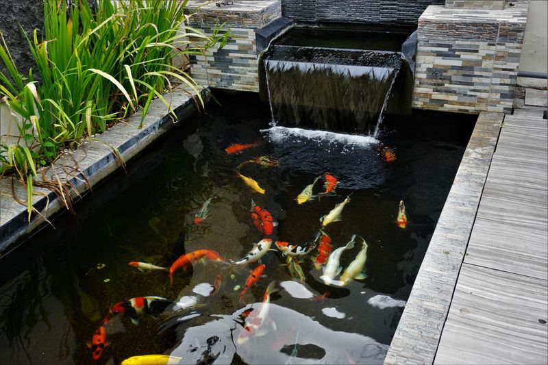 Hidden Garden Gems You'll Spot In California Backyards - Decor Hint Koi Ponds and Hidden Fountains
