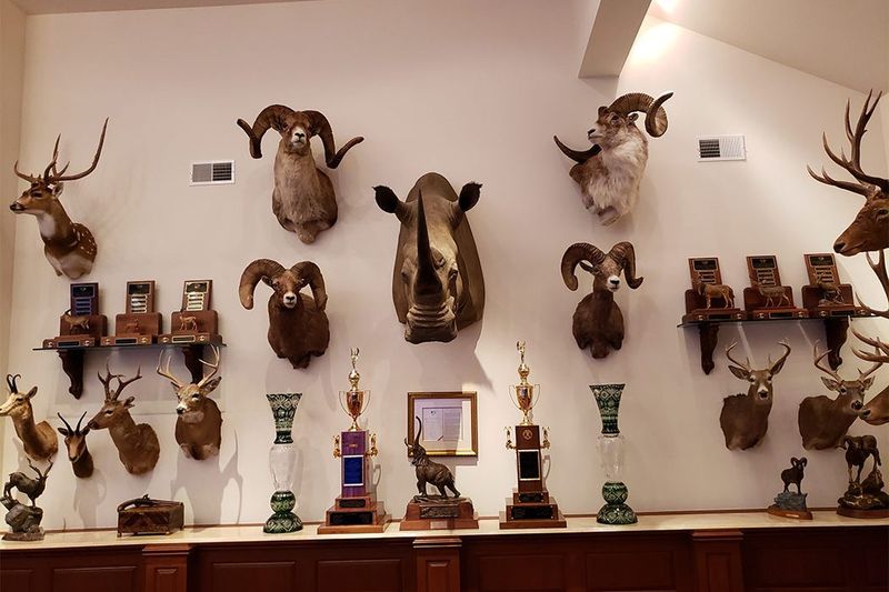 Taxidermy Trophy Walls Are Getting Stuffed