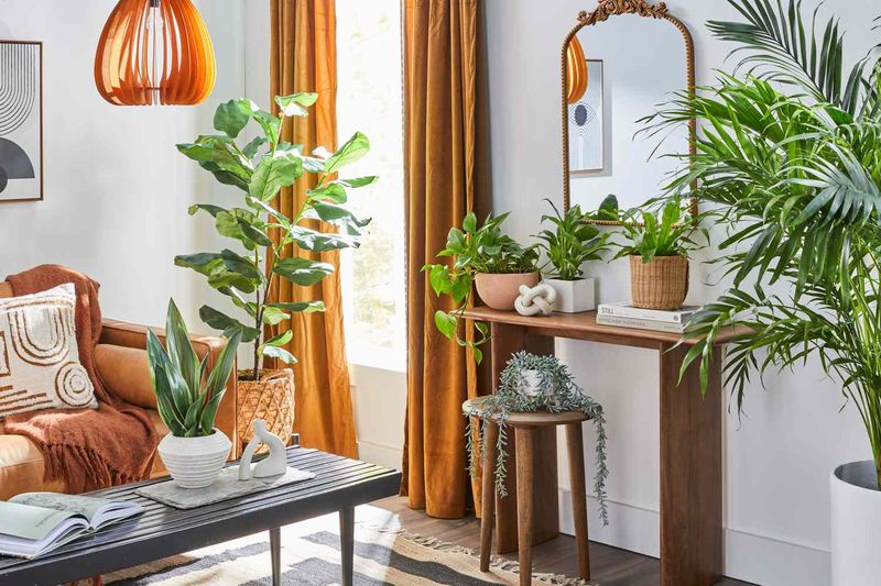 Is Your Room Missing Something? Here Are 9 Simple Buys Designers Recommend To Instantly Pull A Space Together - Decor Hint Lush Indoor Plants