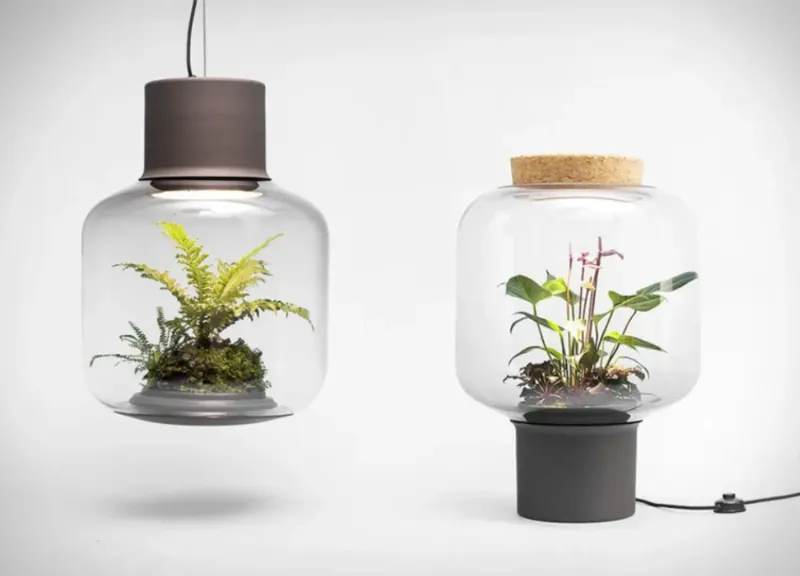 6 Summer Home Decor Trends Designers Love For 2025 - Decor Hint Biophilic Lighting Solutions